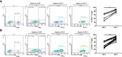 PD-1+ IFN-γ+ subset of CD8+ T cell in circulation predicts response to anti–PD-1 therapy in NSCLC